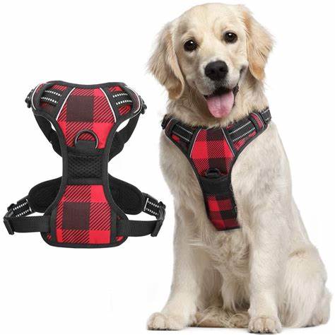 Dog Body Harness With Leash (M)